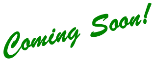 This Badger IT Solutions webhosted site is coming soon!